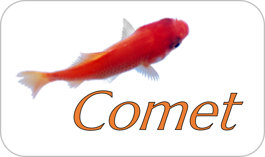 cometlogo